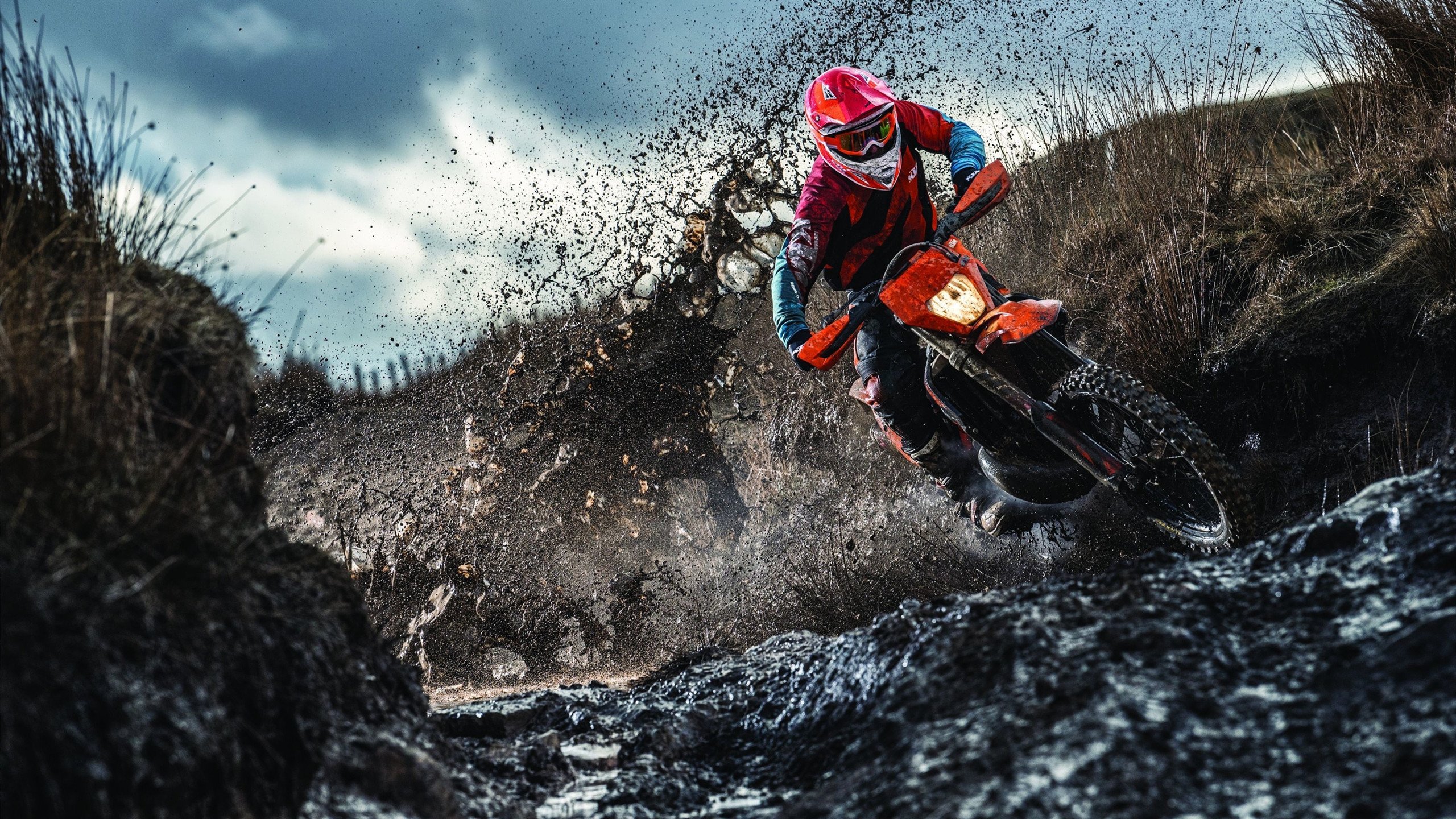 体育新闻中心记者连线现场，体育专栏记者